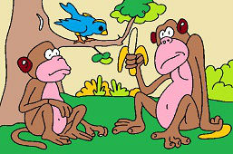 Dwie małpy i banan
