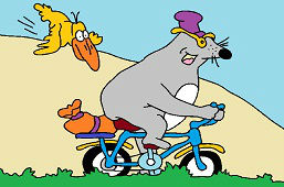 Szczur na rowerze