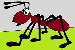 Wielka mrówka