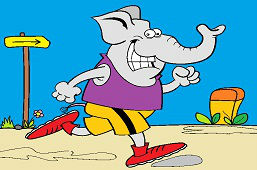 Sportowiec Dumbo