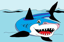 Żarłacz błękitny